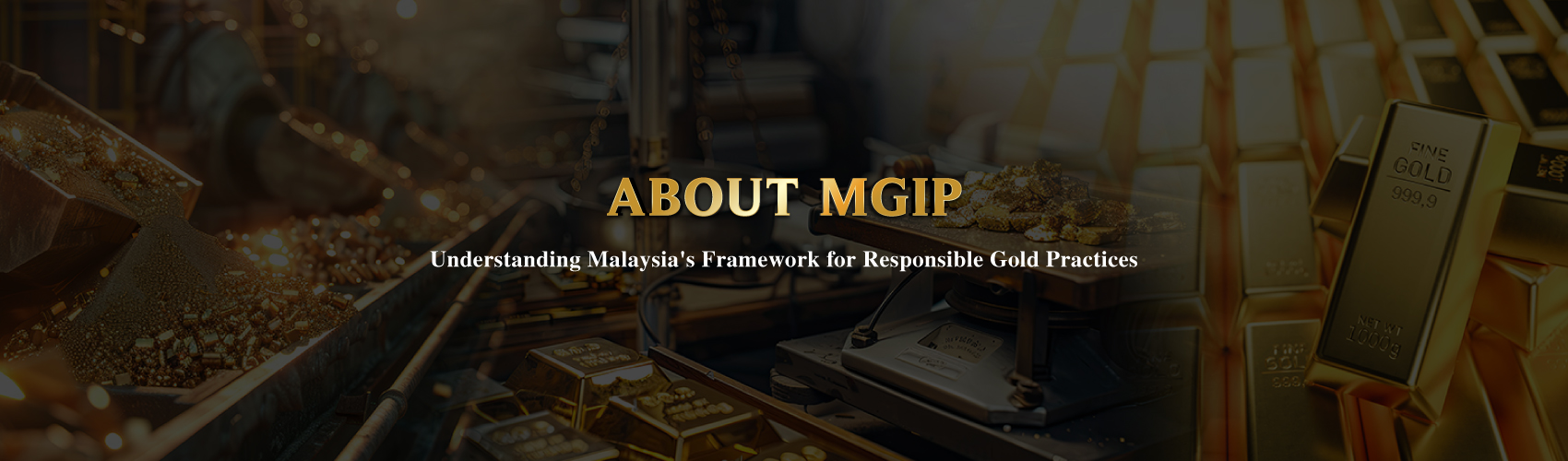 About MGIP