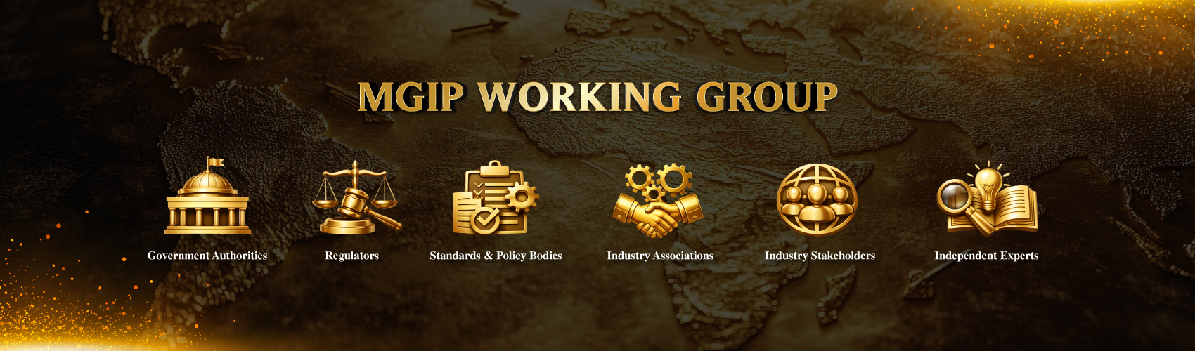 MGIP Governance & Working Group